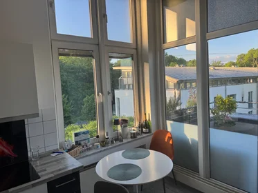 Apartamento inteiro em Am Beethovenpark, imagem 3 de 23