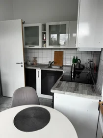Apartamento inteiro em Am Beethovenpark, imagem 5 de 23