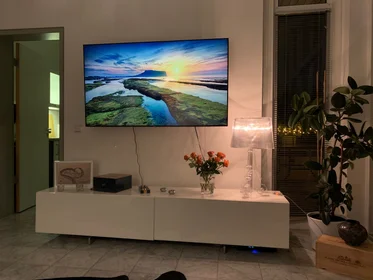 Apartamento inteiro em Am Beethovenpark, imagem 8 de 23
