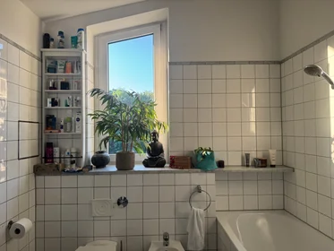 Apartamento inteiro em Am Beethovenpark, imagem 9 de 23