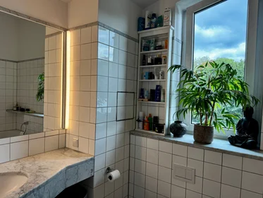 Apartamento inteiro em Am Beethovenpark, imagem 10 de 23