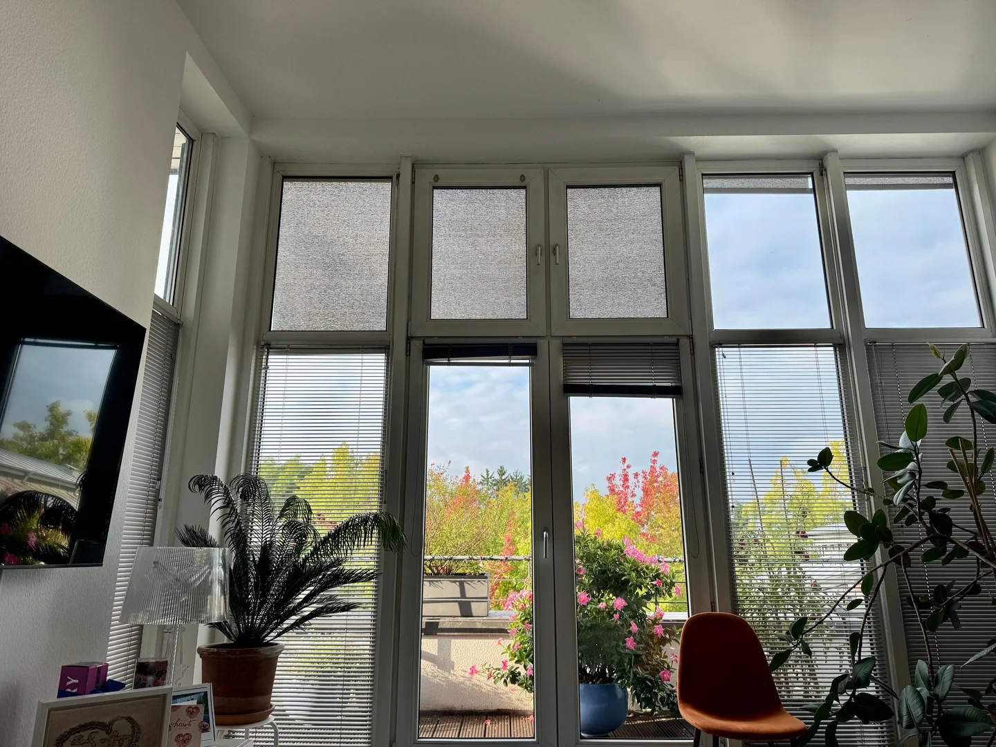 Am Beethovenpark