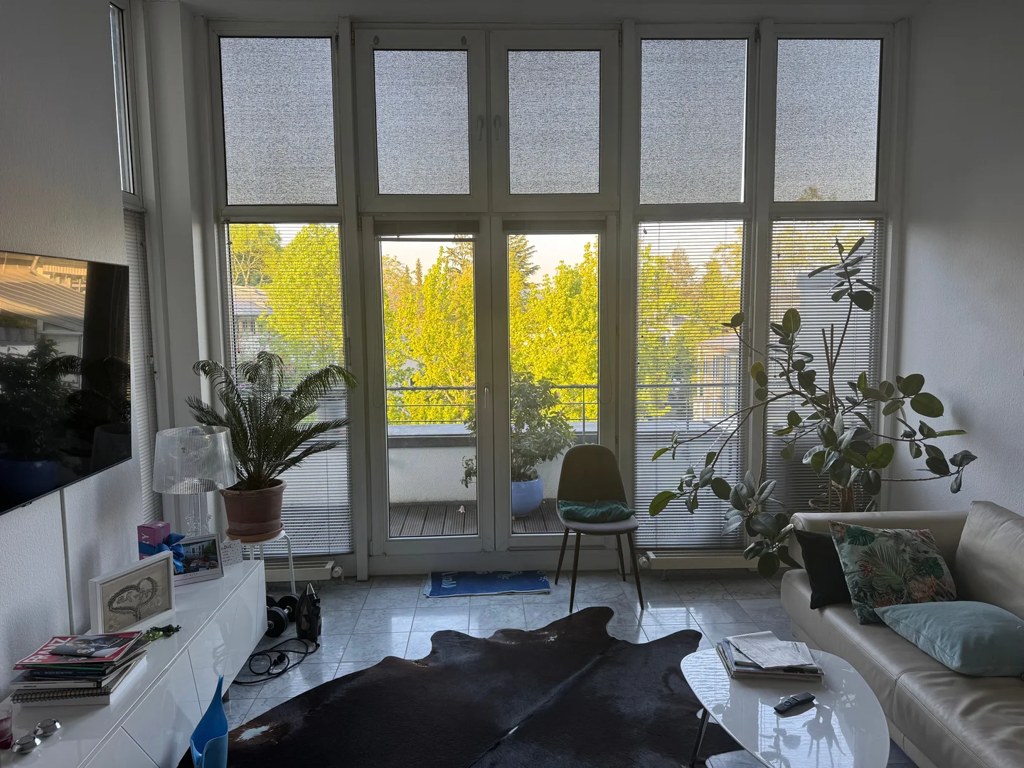 Am Beethovenpark