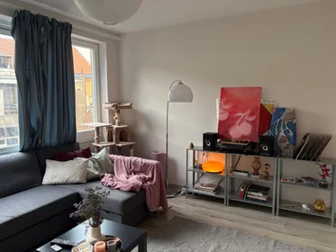 整套公寓 在 Rue Scailquin, 25的图像5