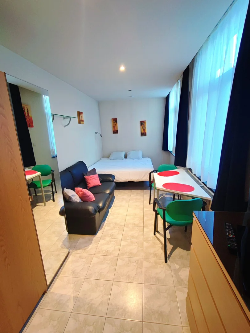 bölgesinde mükemmel ulaşım bağlantılarına sahip öğrenci dostu stüdyo