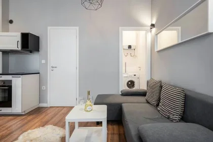 整租 在 Király utca, VII. kerület, 9的图像2