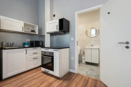 整租 在 Király utca, VII. kerület, 9的图像7