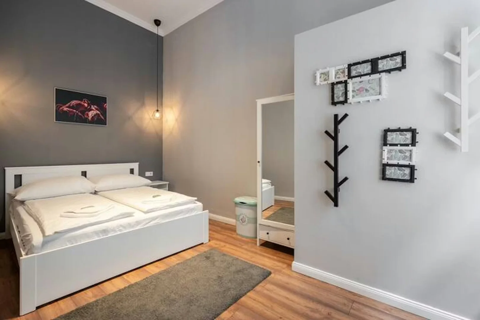 Király utca, VII. kerület