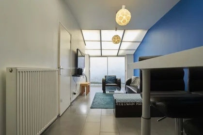 Prywatny pokój 76 Rue du 20ème Siècle, 59160 Lille, France, obraz 11 14