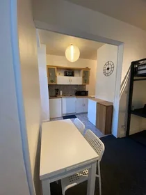 Quarto privado em Mulhouse, 68200, imagem 1 de 10