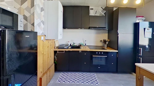 Privatzimmer in der 55 Rue Berthelot, bild 26 von 32