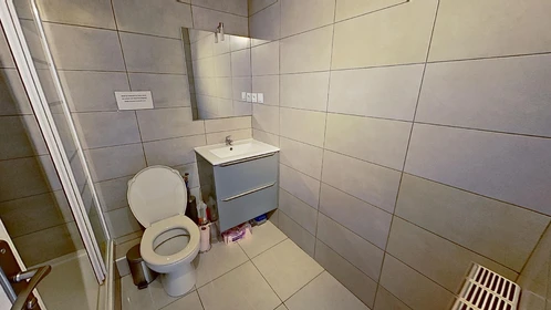 Privatzimmer in der 55 Rue Berthelot, bild 31 von 32