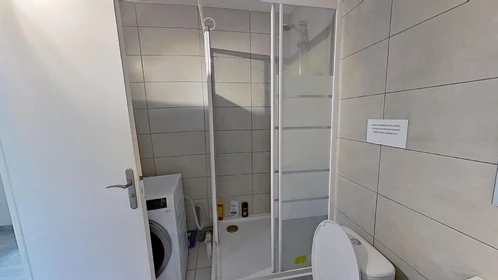 Privatzimmer in der 55 Rue Berthelot, bild 32 von 32