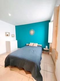 Habitación privada en Nîmes, 30000, imagen 3 de 18
