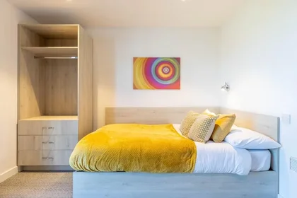 Quarto privado em Willowbank Road, imagem 1 de 40