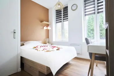 Chambre privée à 33 Rue Auber, 59800 Lille, France, image 1 de 10