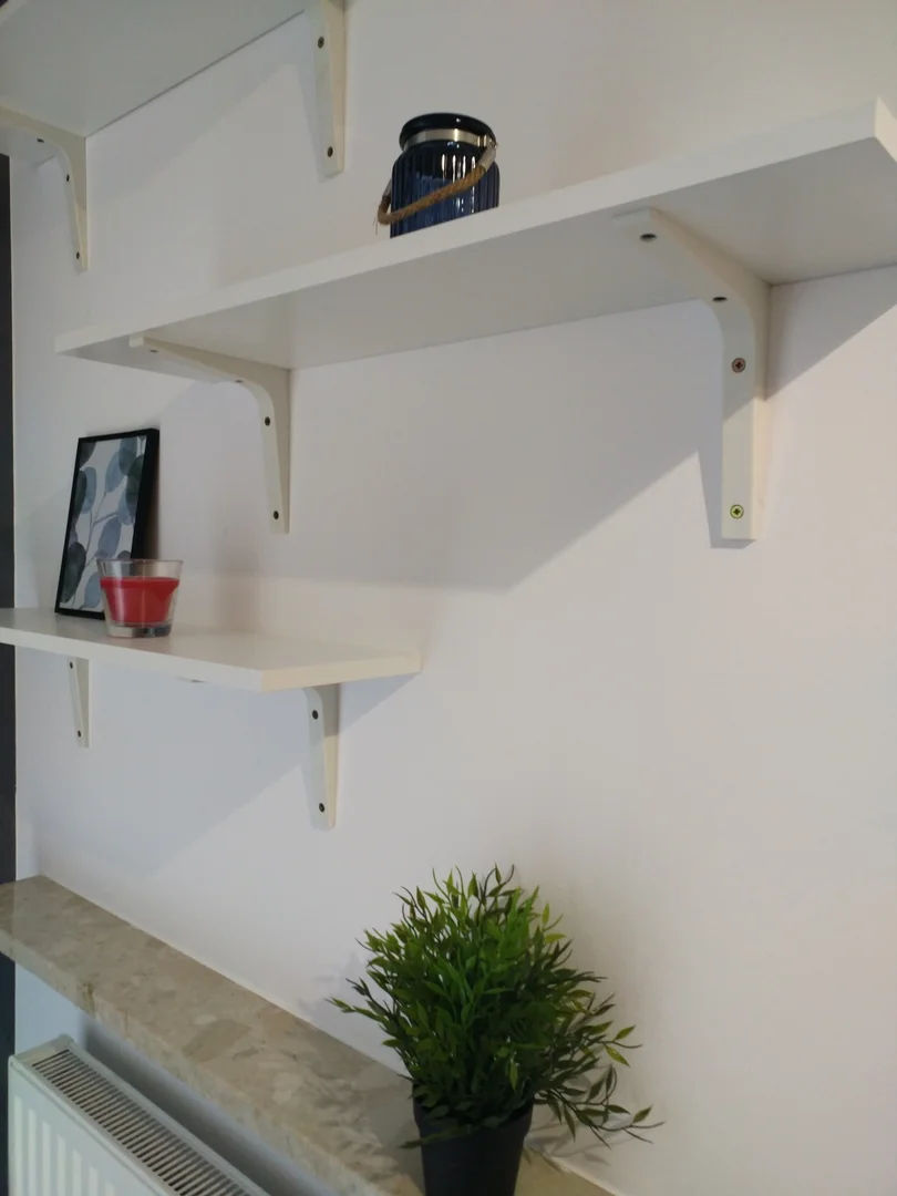 Affordable room for students with ample lighting in 
