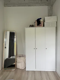 Private room at Boezemsingel, image 1 of 4
