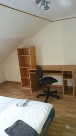 Quarto privado em Rue de Bonnevoie, Bonnevoie-Sud, imagem 1 de 10