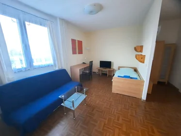 Alojamiento entero en Heidelberger Straße, Plauen, imagen 1 de 5