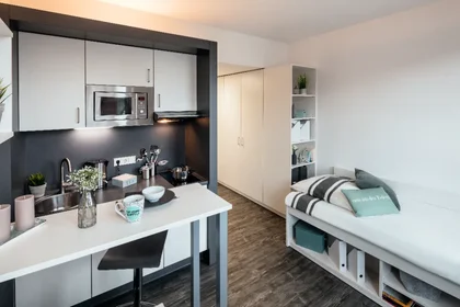 Estudio en residencia en Geiststraße 2, imagen 1 de 7