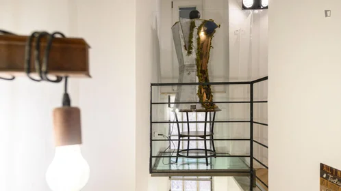 Logement entier à Vico Graziella, image 22 de 27