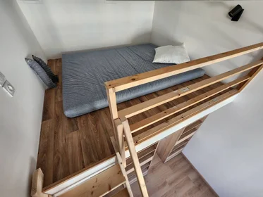 Privatzimmer in der Nice, 06000, bild 19 von 39