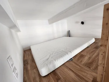 Privatzimmer in der Nice, 06000, bild 32 von 39