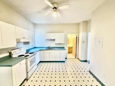 Logement entier en résidence à 540, Cambridge, Unit 3, Inman Square, Cambridge, MA, 02141, image 11 de 18