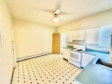 Logement entier en résidence à 540, Cambridge, Unit 3, Inman Square, Cambridge, MA, 02141, image 13 de 18