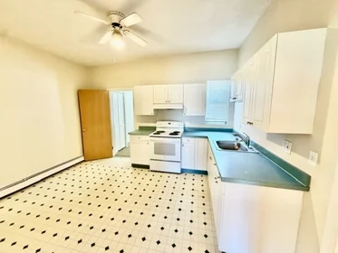 Logement entier en résidence à 540, Cambridge, Unit 3, Inman Square, Cambridge, MA, 02141, image 9 de 18