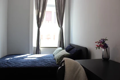 Helles Privatzimmer in Budapest