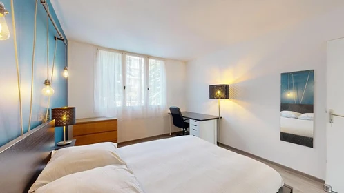 Bright private room in Pau