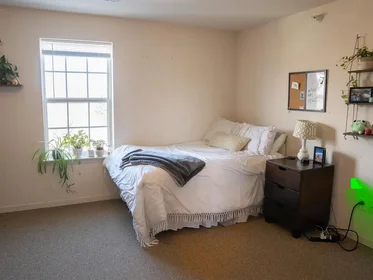 Habitación privada en Perennial Lane, imagen 1 de 26