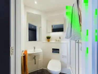 Habitación privada en NG3 1BH, imagen 6 de 49