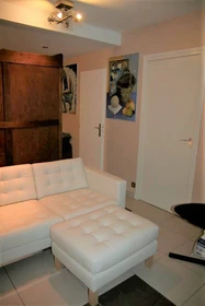 Chambre à louer dans un appartement en colocation à Grenoble