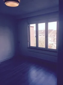 Private room at Hertogsingel, image 1 of 4