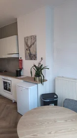Studio at Henegouwerlaan, image 5 of 10