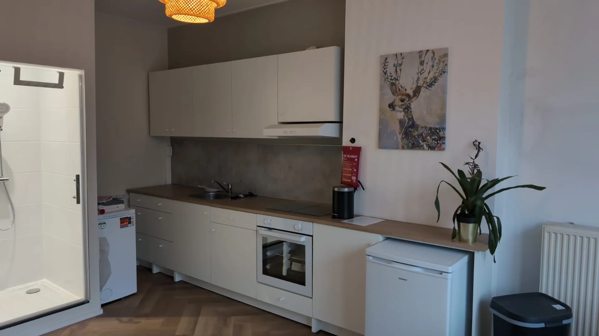 Chic studio apartment near campus in 