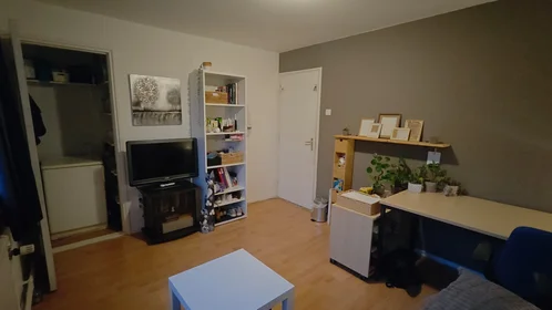 Private room at Boerhaavelaan, image 1 of 7