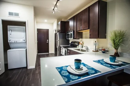 Dairenin tamamı Ikamet yerinde konumu 1016 Washington Ave SE, Minneapolis, MN 55414, United States, 12 16 görüntüsü
