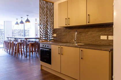 Özel oda Ikamet yerinde konumu Dean Street Works 13 - 19 Dean Street, Bristol, BS2 8SF, 35 48 görüntüsü