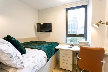 Chambre privée à Seren, 66 Alexandra Road, Swansea, SA1 5BD, United Kingdom, image 1 de 10