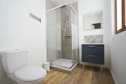 Prywatny pokój 243 BOULEVARD BEAUVILLE, obraz 1 10
