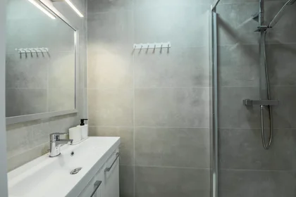 Private room at 11 rue du Docteur Baloux, image 8 of 9