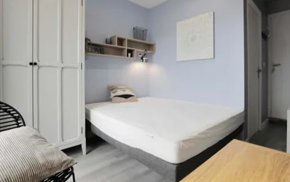 Quarto privado em Port Saint-Sauveur, 31400 Toulouse, France, imagem 4 de 18