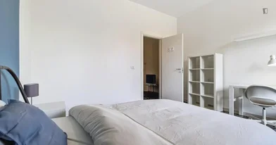 Stanza privata in Viale Roma, immagine 4 di 11