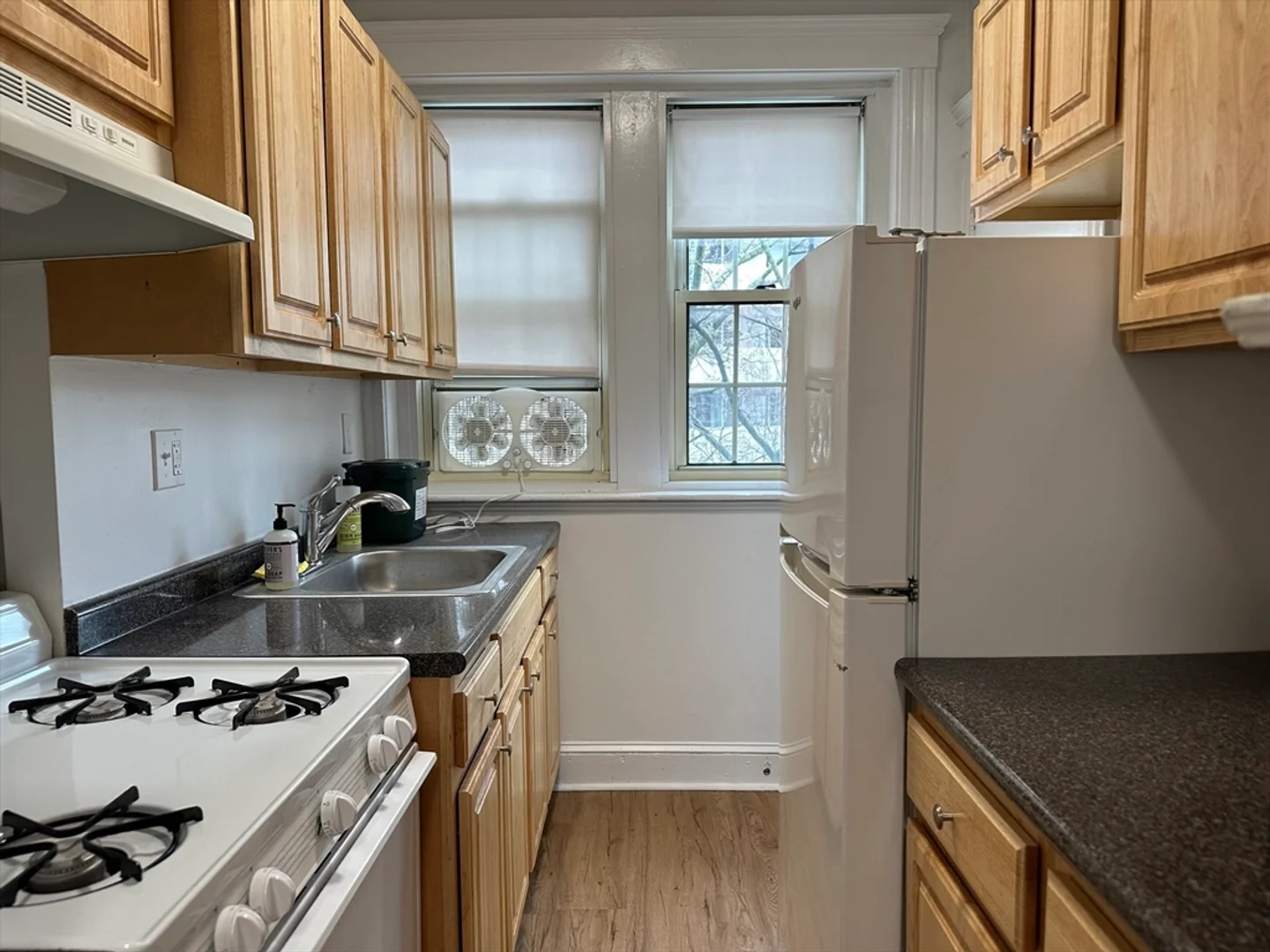 1, Craigie, Unit 24, Harvard Square, Cambridge, MA, 02138