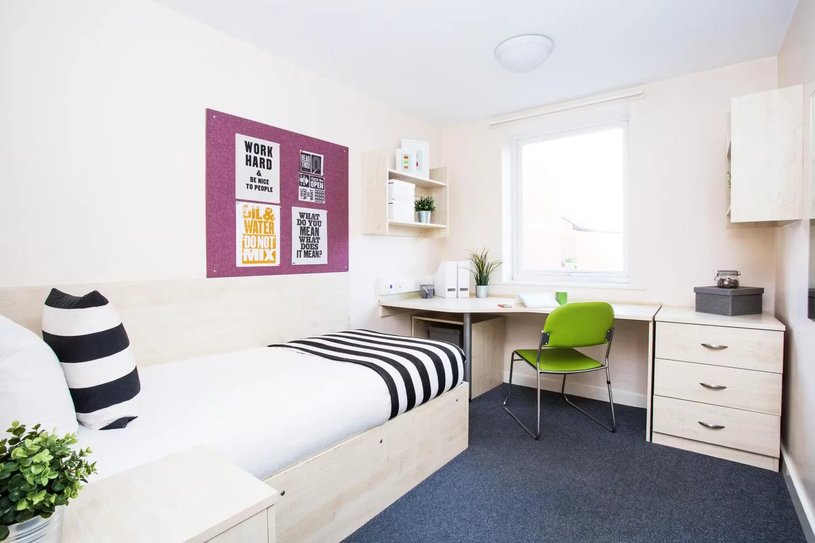 Habitación estudiantil funcional perfecta para estudiar en 