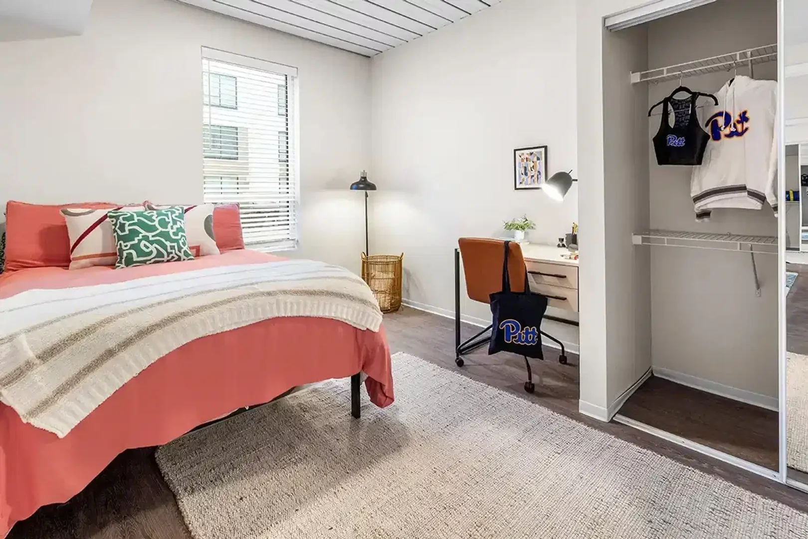 Affordable room for students with ample lighting in 